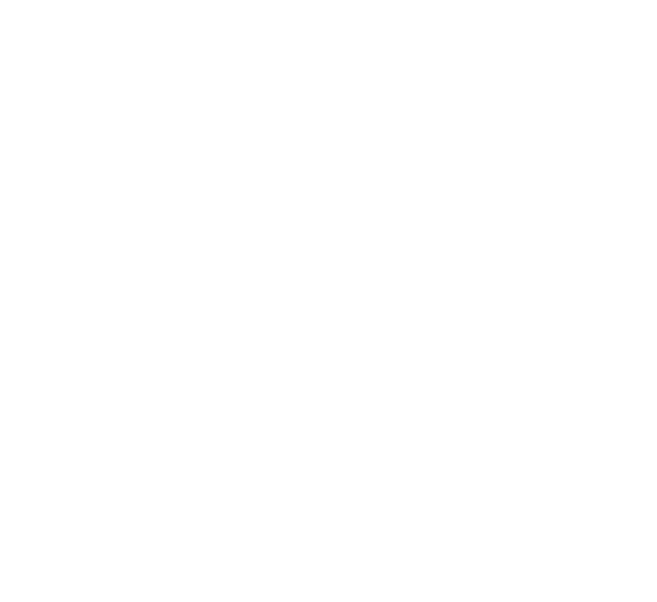 BaleUdang_Logo2